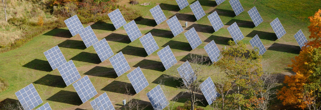 A field of solar panels