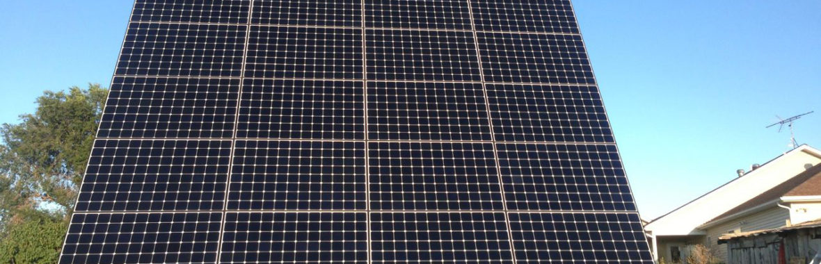 Dog in front of a solar panel